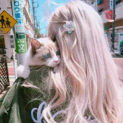 半岛·中国官方网站