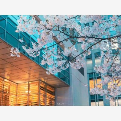 网上下单的足彩app